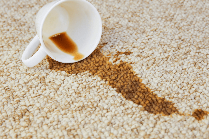How To Get Every Stain Out Of A Carpet