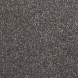 Canterbury Extra 01 Apple Crumble Grey Carpet