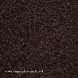 Edinburgh 992 Chestnut Stain Defender Polypropylene Carpet