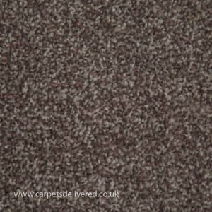 Newcastle 94 Clay Stain Defender Heavy Domestic Carpet