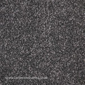 Queenstown 77 Pewter Easyback Polypropylene Carpet